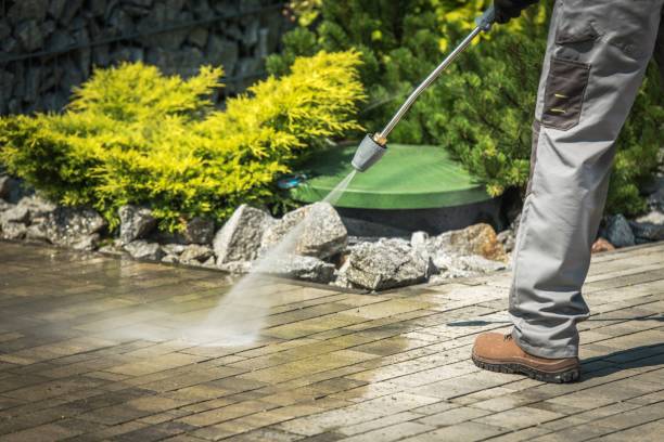 Best Sidewalk and Walkway Pressure Cleaning in Pleak, TX