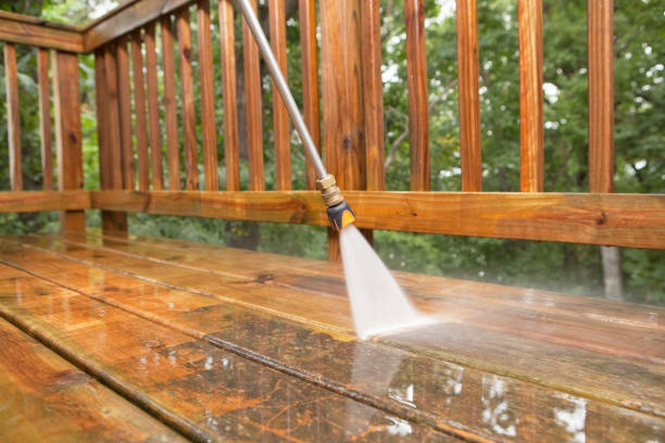 Best Gutter Cleaning and Brightening in Pleak, TX